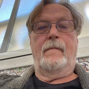Profilbild på Lars-Gunnar Svanström