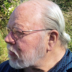 Profilbild på Lars-Olof Brandt