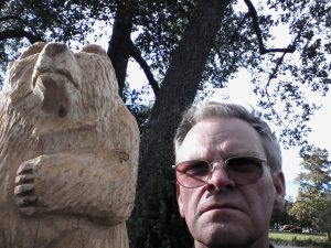 Profilbild på Lars Bergvill