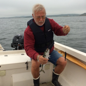 Profilbild på Lars Haglund