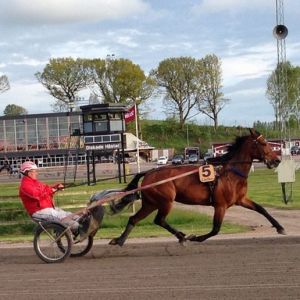 Profilbild på Lars Welin