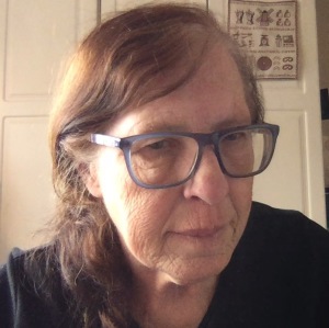 Profilbild på Lena Erlandsson Åman