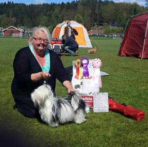 Profilbild på Lena Öhlund