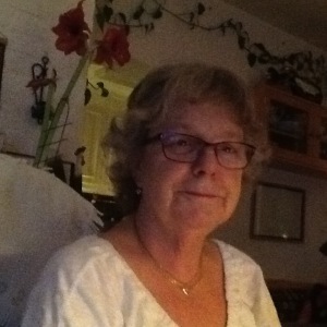 Profilbild på Lena Persson