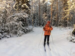 Profilbild på Lena Sjöstedt