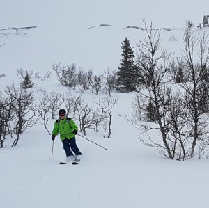 Profilbild på Lennart Berggren
