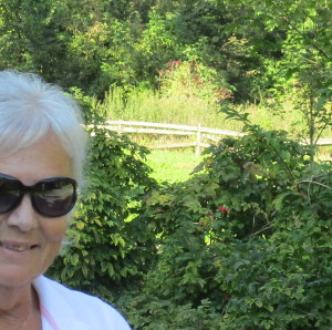 Profilbild på Lillemor Steen