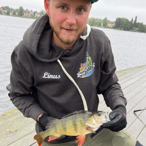 Profilbild på Linus Gerebrand