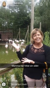 Profilbild på Lisbeth Lerstorp