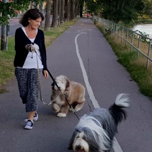 Profilbild på Liselott Lotta Hamre