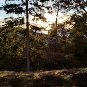 Profilbild på Macki Brunberg