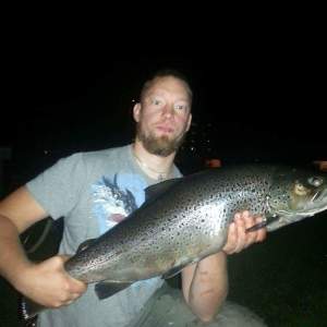 Profilbild på Magnus Nilsson