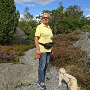 Profilbild på Margareta Bergqvist
