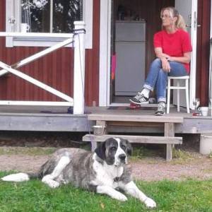 Profilbild på Mari-Anne Berggren