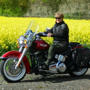 Profilbild på Marianne Hagel