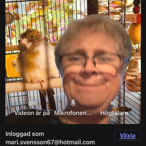 Profilbild på Marie Svensson