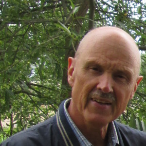 Profilbild på Mats Norrström