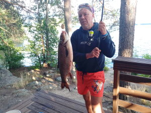 Profilbild på Matti Ilmonen