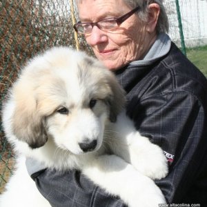 Profilbild på Maud Söderberg