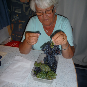 Profilbild på May Hållén