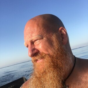 Profilbild på Mikael Brodin