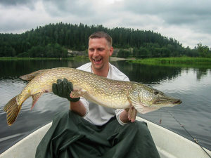 Profilbild på Mikael Jakobsson