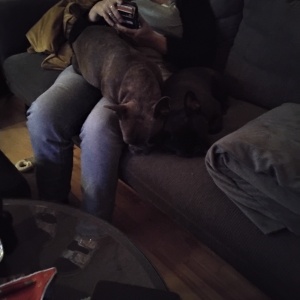 Profilbild på Mikael Malmqvist