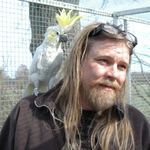 Profilbild på Mikael Olsson