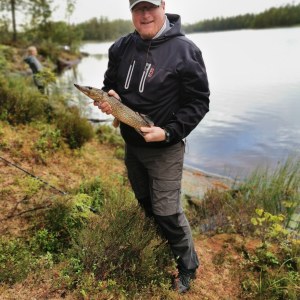 Profilbild på Nicklas Pemer