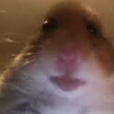Profilbild på Oskar Björklund