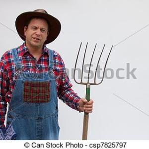 Profilbild på Pedro Nicolaus