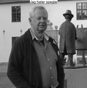 Profilbild på Per-Arne Thoren