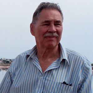 Profilbild på Per Hallonquist