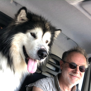 Profilbild på Peter Lindqvist