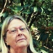Profilbild på Ragnhild Lans