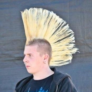 Profilbild på Robin Lindberg