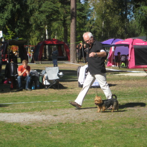 Profilbild på Roger Johansson