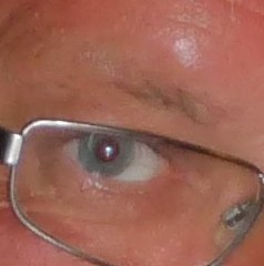 Profilbild på Rolf Arrenius