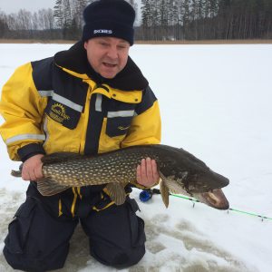 Profilbild på Roy Waldemyr