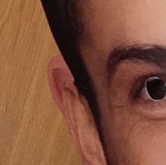 Profilbild på Sead Ademovic