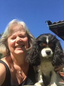 Profilbild på Siv Hammargren