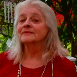 Profilbild på Siv Nyvall