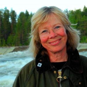Profilbild på Siv Persson