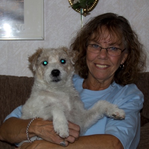 Profilbild på Solveig Spångberg
