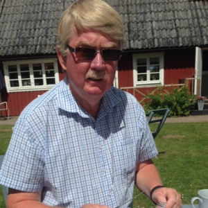 Profilbild på Stefan Borgström