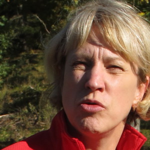 Profilbild på Sture Roos