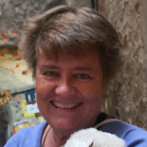 Profilbild på Susanna Söderström