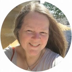 Profilbild på Susanne A Johansson