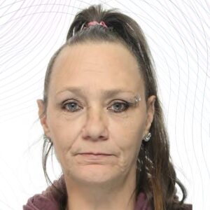 Profilbild på Susanne Lundmark