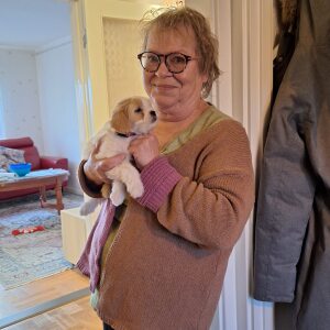 Profilbild på Sylvia Alderö